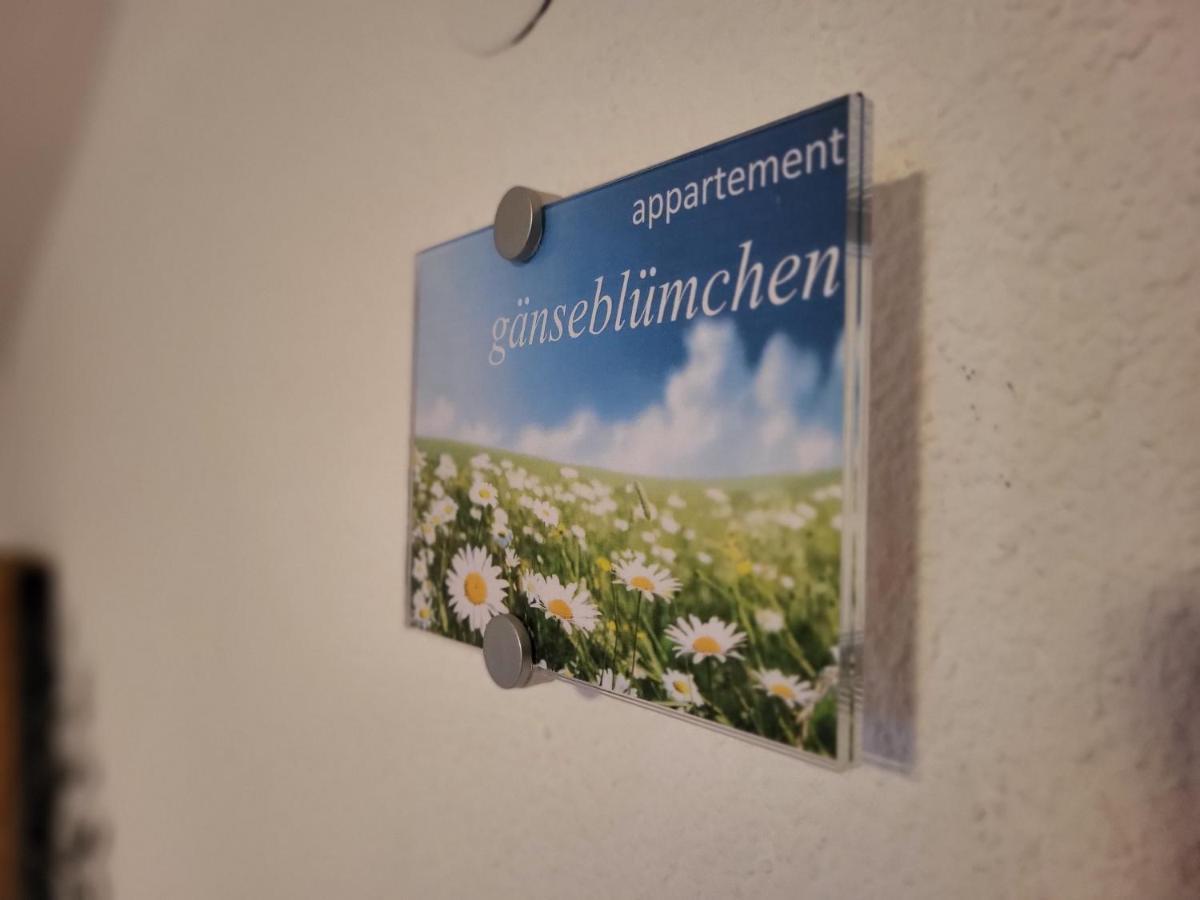 Sunnaschi Appartements - Wohnungen Oder Gesamt Als "Huette" Laterns Εξωτερικό φωτογραφία